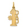10K #1 DAD Charm