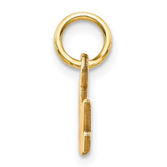 10K Satin Diamond-cut NANA Charm