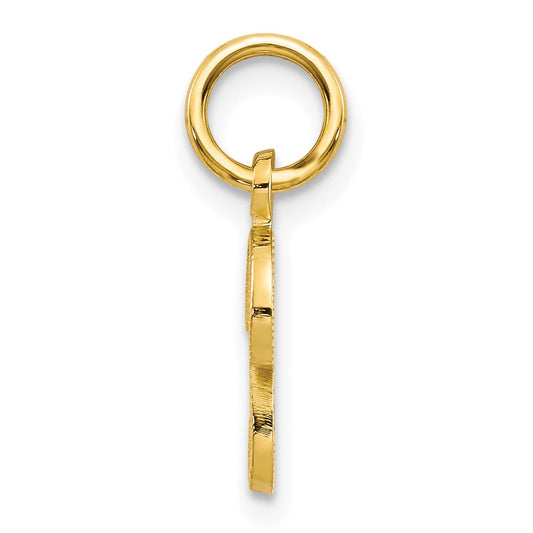 10k Small Script Initial P Charm