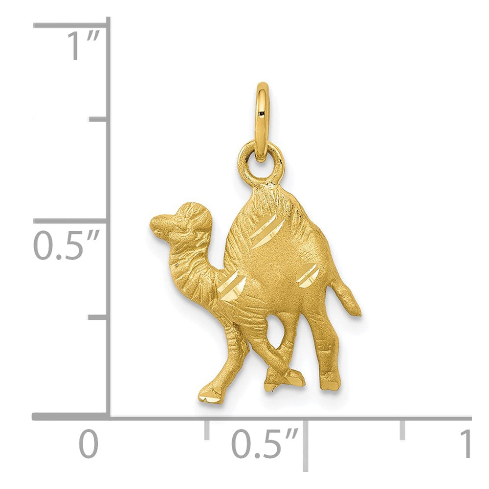 10k Camel Charm