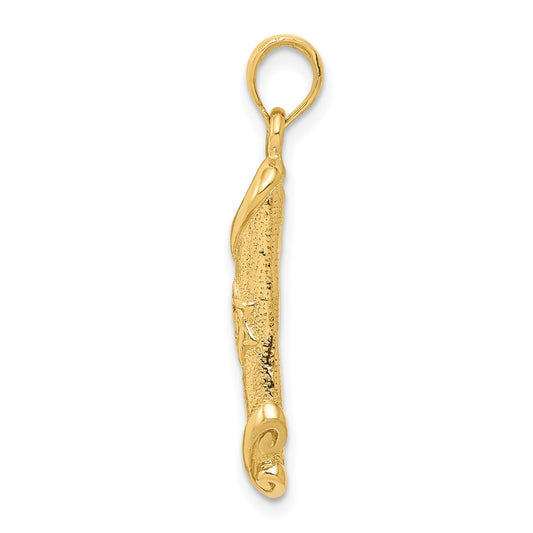 10k Torah with Star of David Pendant