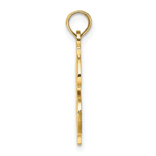 10K Textured Dollar Sign Charm