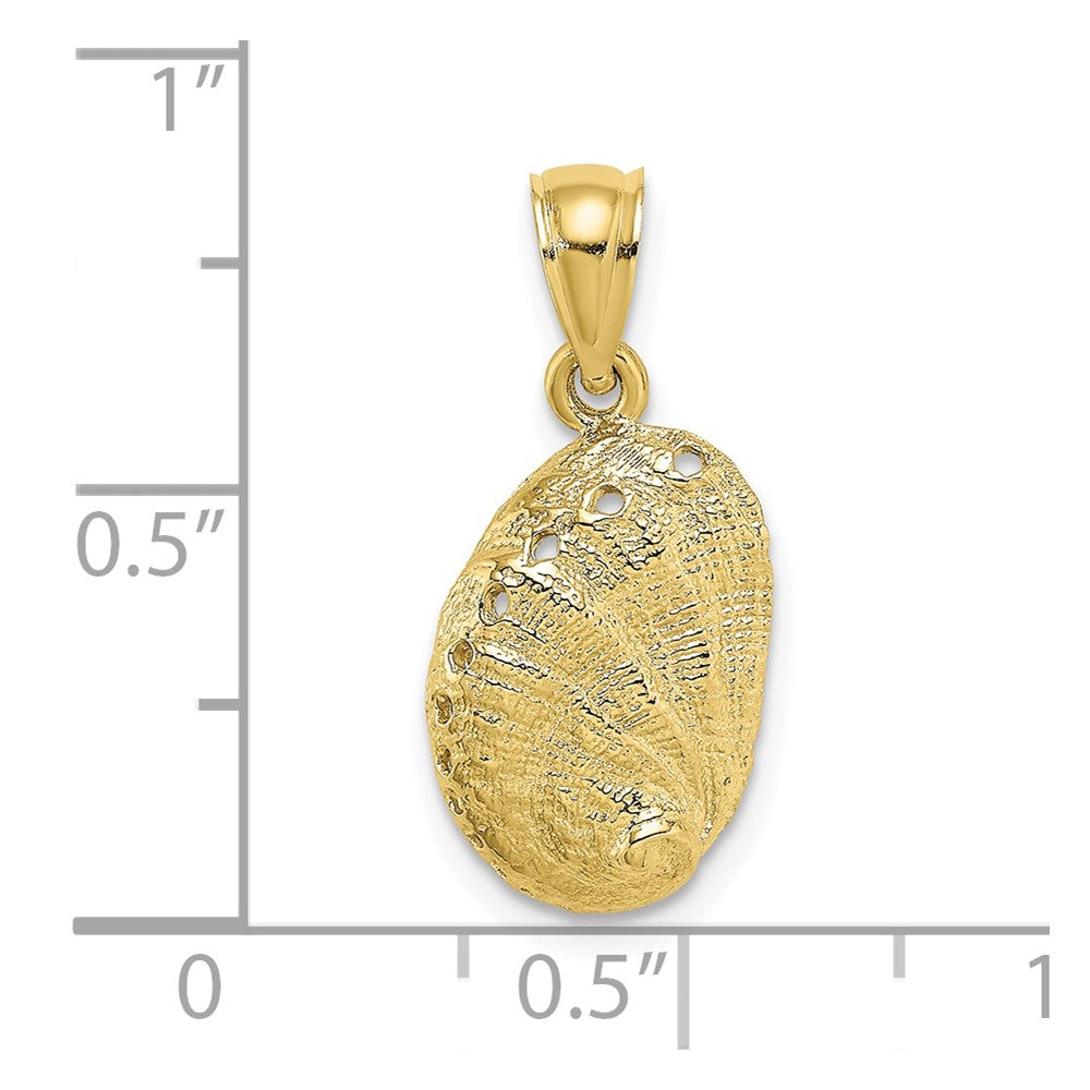 10K 2-D Abalone Shell Charm