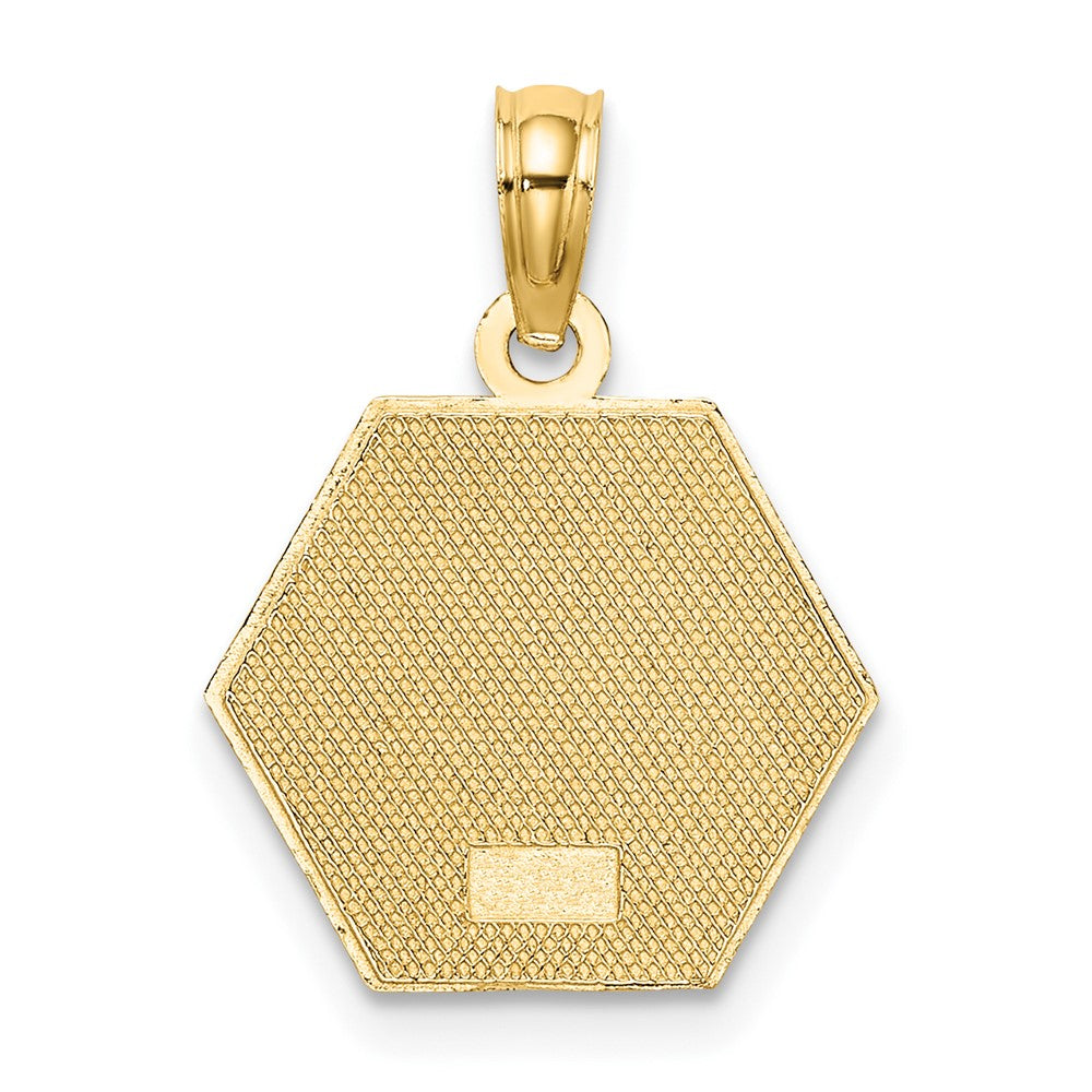 10k Medical Symbol 16x18mm Hexagon Disc Pendant