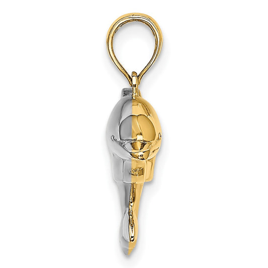 10k and White Rhodium 3-D Reversible Puffed Dolphin Charm