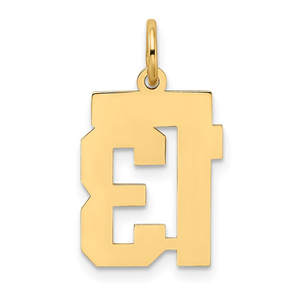 10ky Small Satin Number 13 Charm