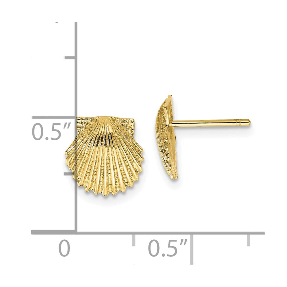 10k Scallop Shell Post Earrings