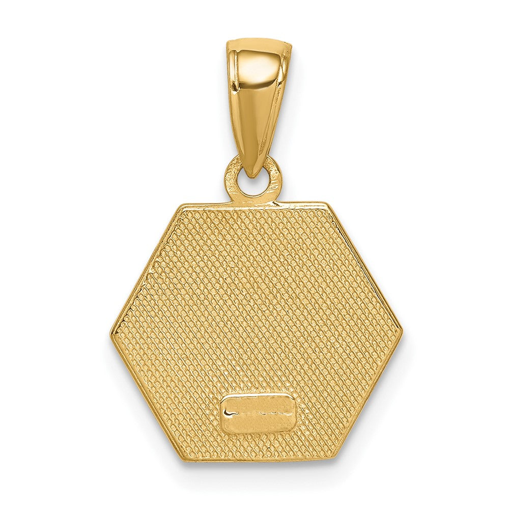 10K Red Enameled Medical Symbol 14x15mm Hexagon Disc Pendant