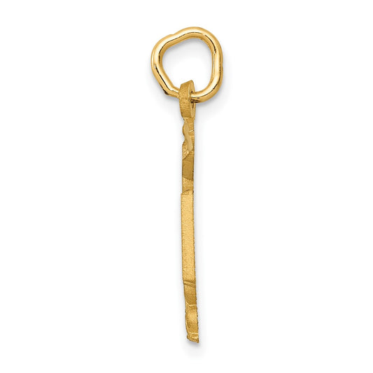 10k Nurse RN Caduceus Charm