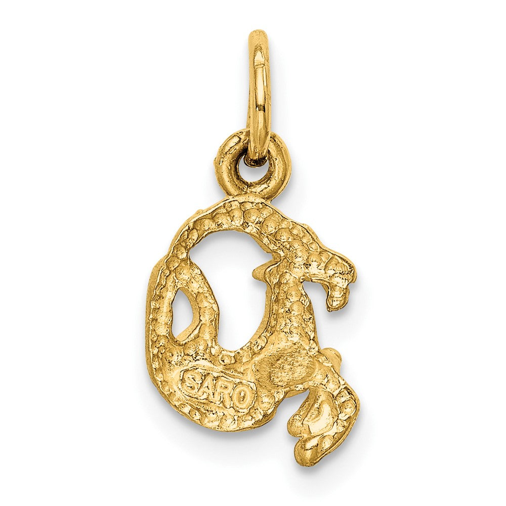 10k Small Satin Diamond-cut Capricorn Zodiac Charm