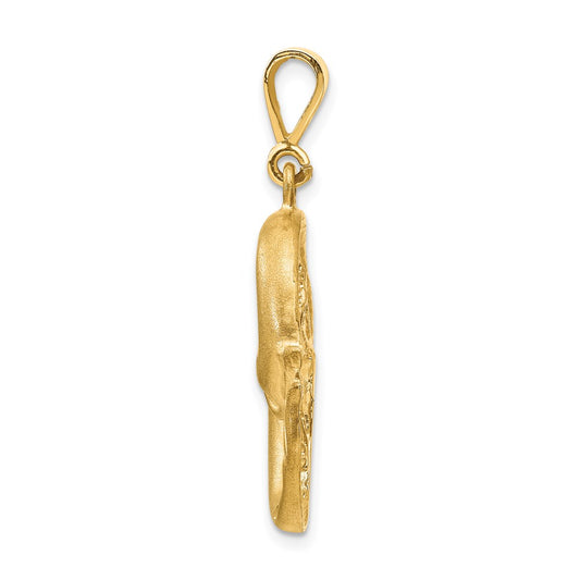 14k Satin Diamond-cut Pisces Zodiac Charm