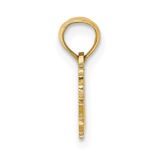 14K 100% VIRGO Zodiac Charm