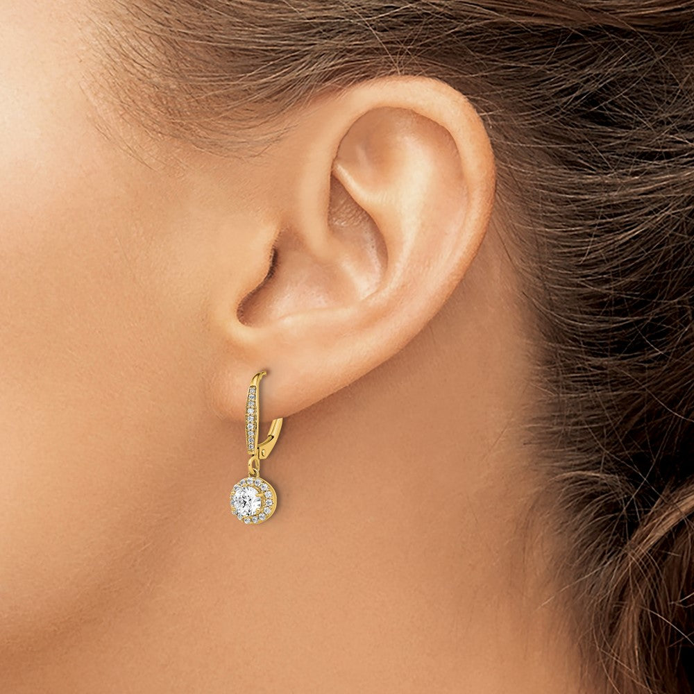 14k 1 carat Lab Grown Diamond VS/SI+ G+ Complete Round Halo Drop Leverback Earrings