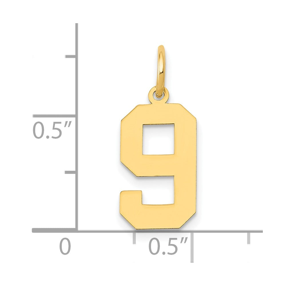 14k Medium Polished Number 9 Charm