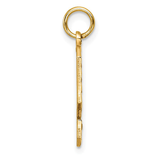 14k Large Brushed Diamond-cut Number 9 Charm