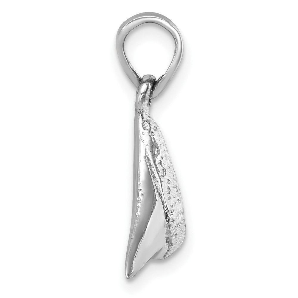 Sterling Silver Rhodium-plated Polished Shark Tooth Pendant