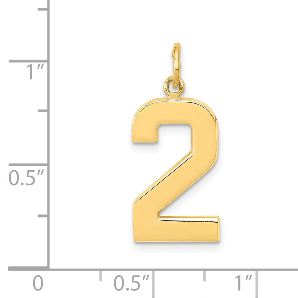 14k Large Polished Number 2 Charm