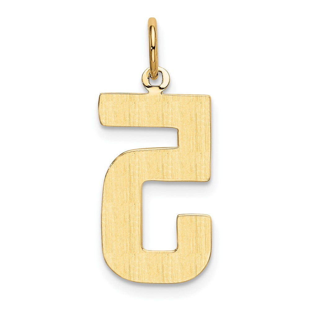 14k Large Polished Number 5 Charm