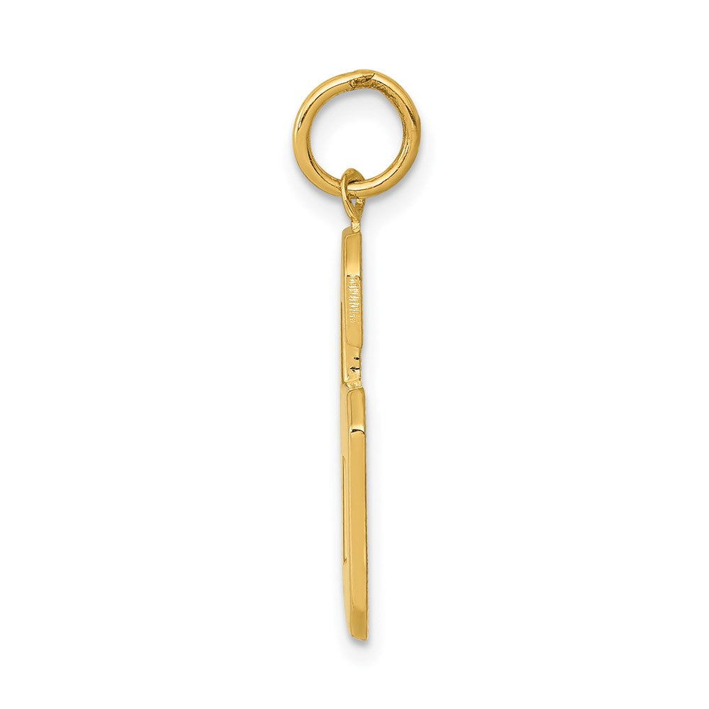 14k Large Polished Number 6 Charm