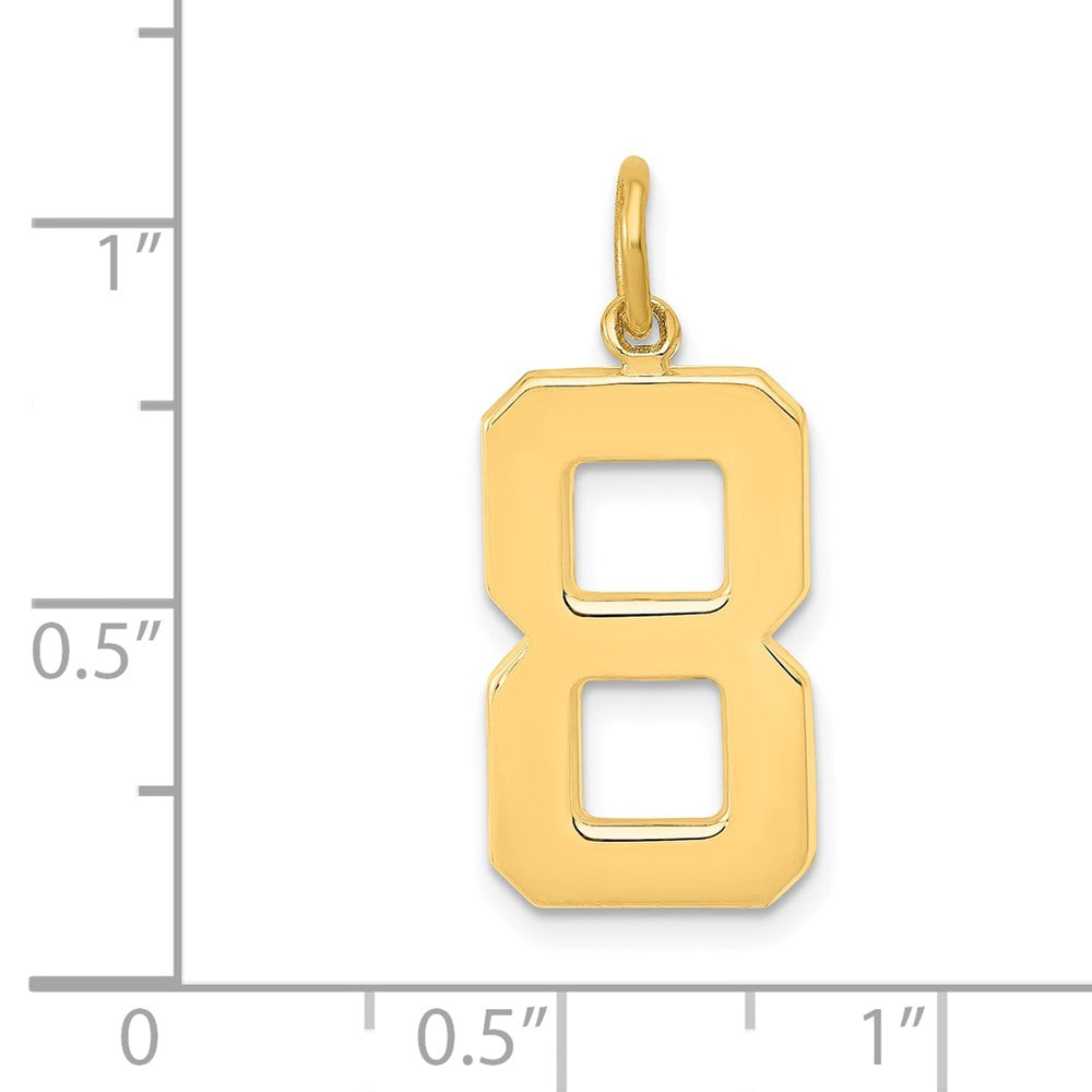 14k Large Polished Number 8 Charm