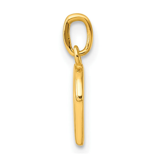 Sterling Silver Gold-tone Polished Letter D Initial Charm