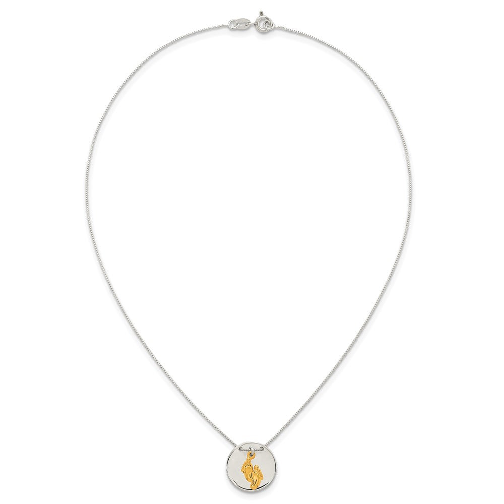 Sterling Silver with Gold-tone Polished Footprint Dangle on Disc 16 inch Necklace