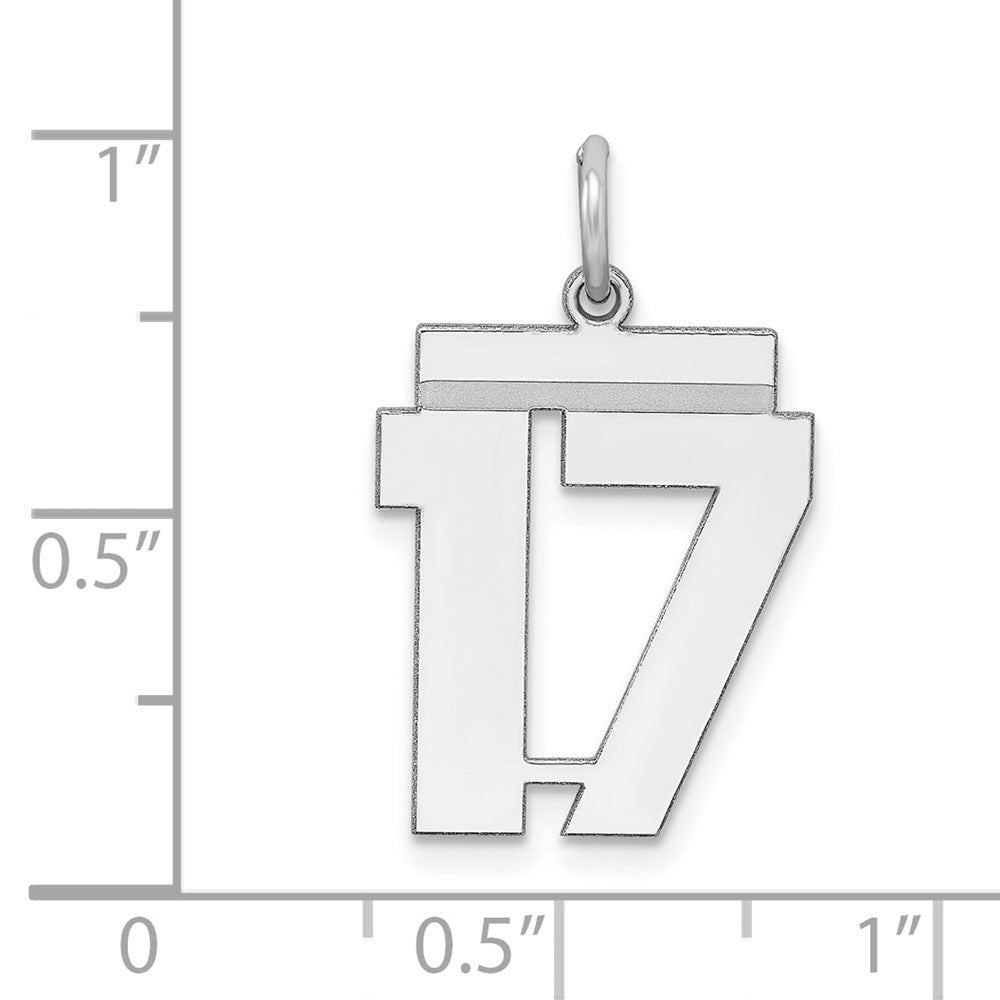 Sterling/Silver Rhodium-plated Polished Number 17 Charm
