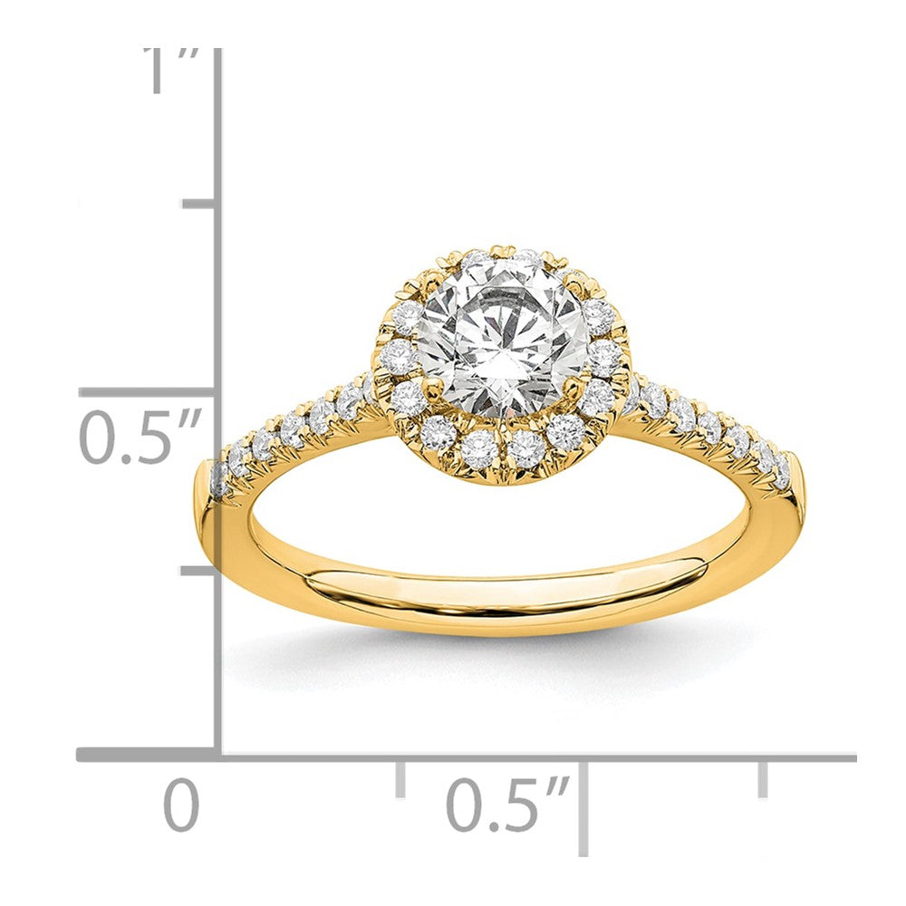 14k 3/4 carat Lab Grown Diamond VS/SI+ G+ Round Complete Size 6 Halo Engagement Ring