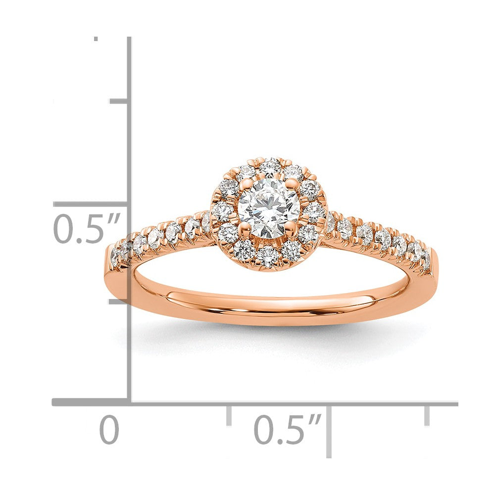14k Rose Gold 1/2 carat Lab Grown Diamond VS/SI+ G+ Round Complete Halo Engagement Ring
