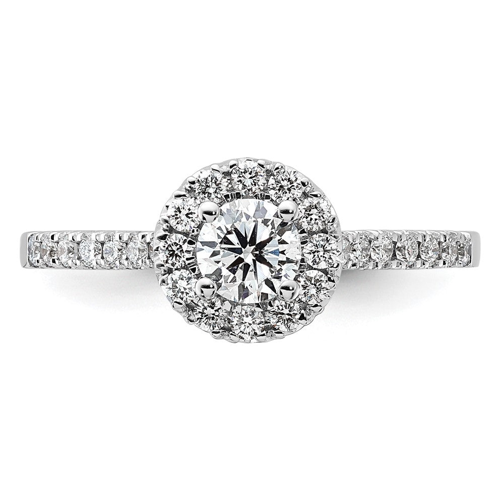 14k White Gold 3/4 carat Lab Grown Diamond VS/SI+ G+ Round Complete Halo Engagement Ring
