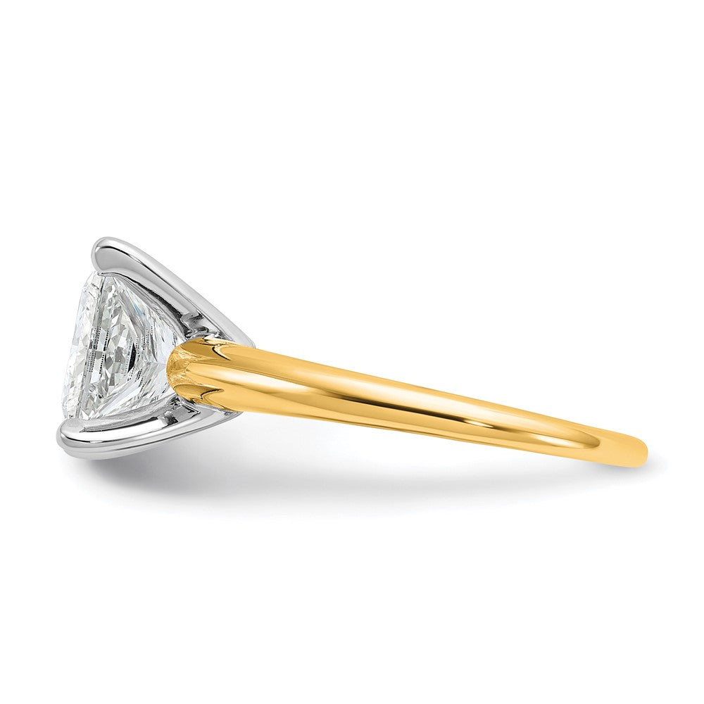 14k Two-tone 3 carat Lab Grown Diamond VS/SI+ G+ Princess Complete Solitaire Engagement Ring