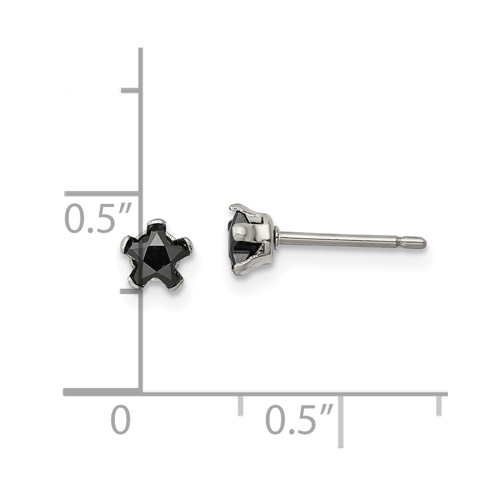 Chisel Stainless Steel Polished 4mm Black Star CZ Stud Post Earrings