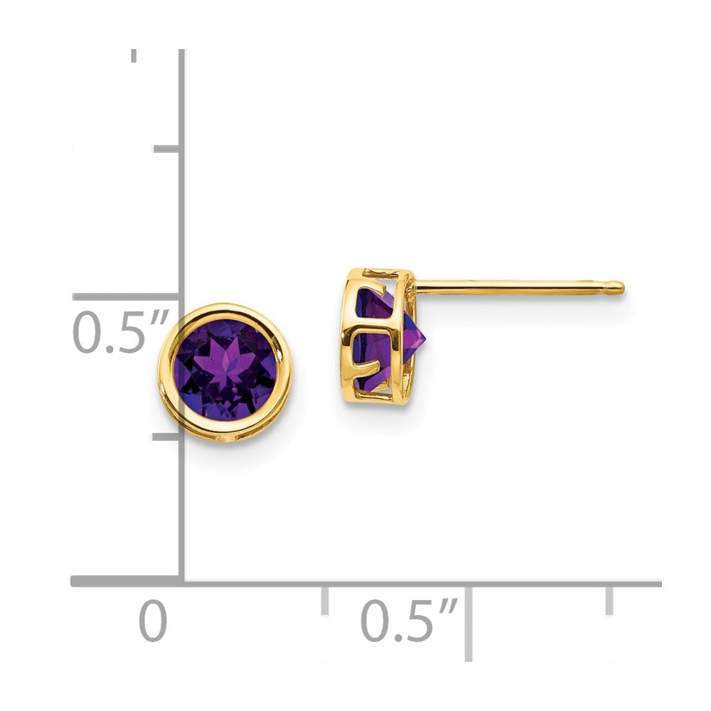14k 5mm Round Bezel February/Amethyst Post Earrings