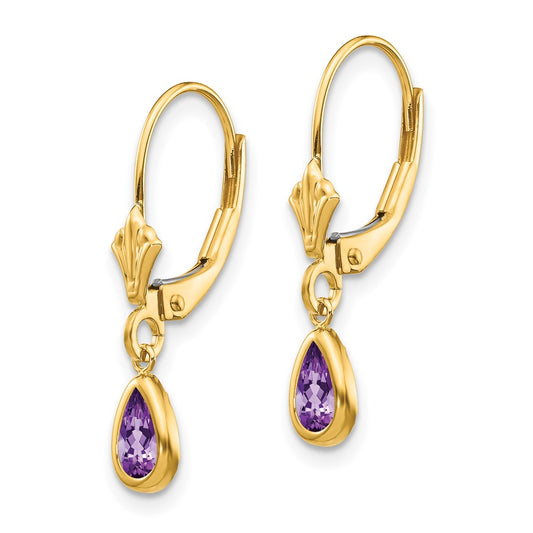 14k 6x4mm Pear Bezel February/Amethyst Leverback Earrings
