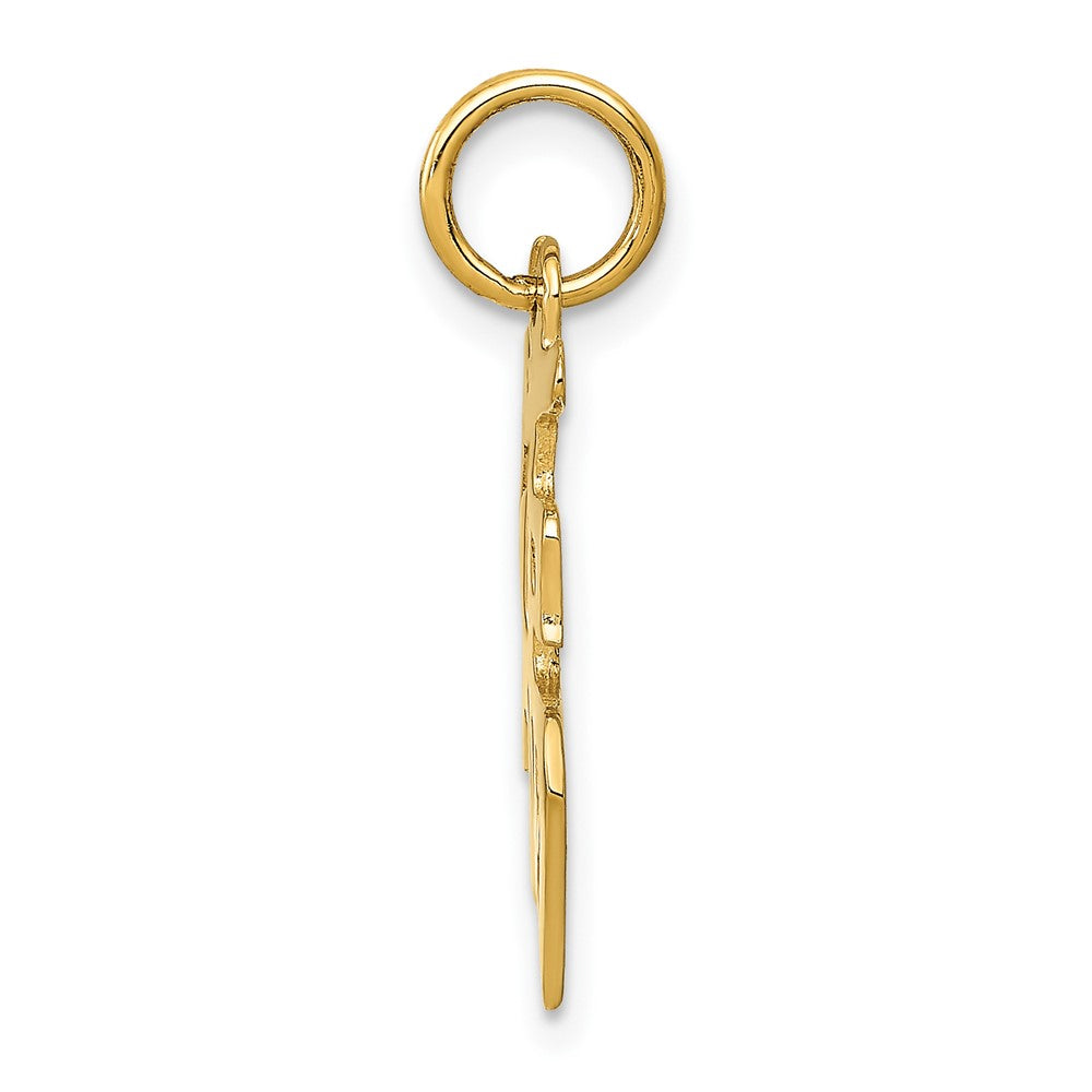 10k Chinese Symbol Good Luck Charm