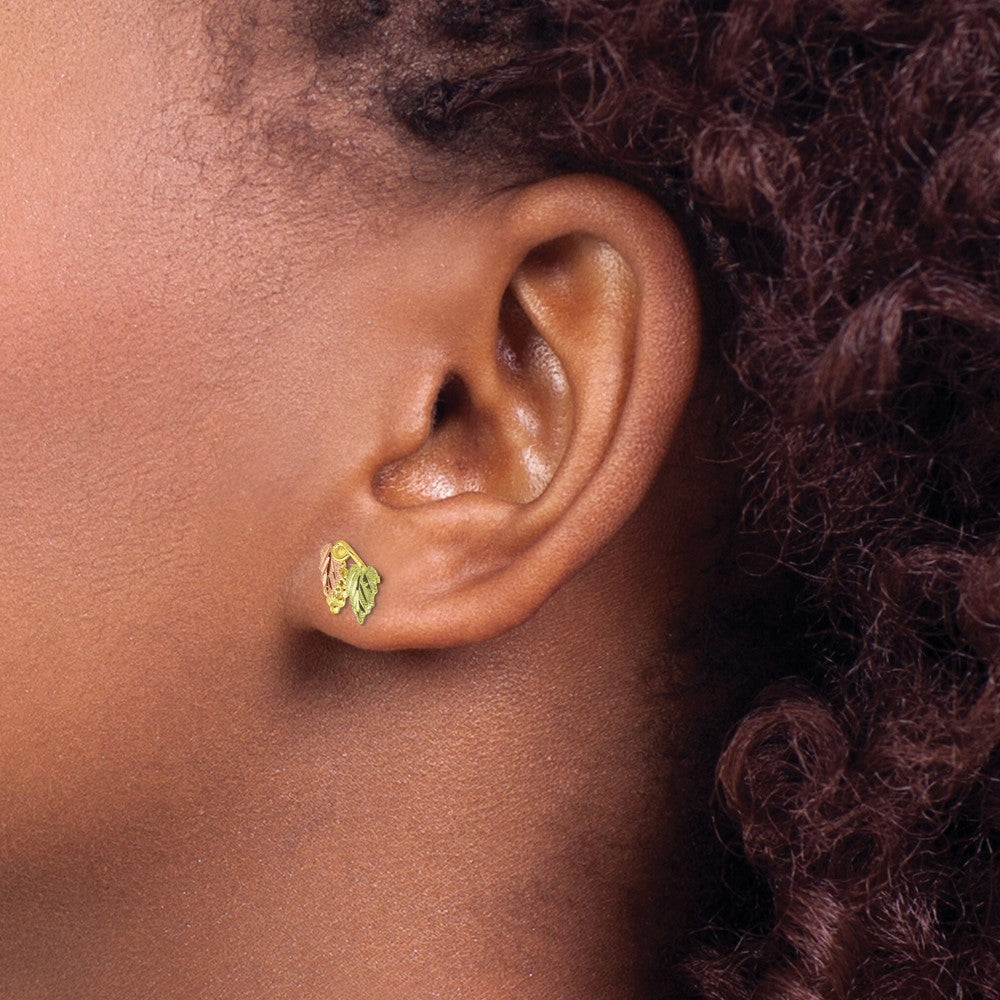 10k and 12k Tri-color Black Hills Gold Grapes and Leaves Post Earrings