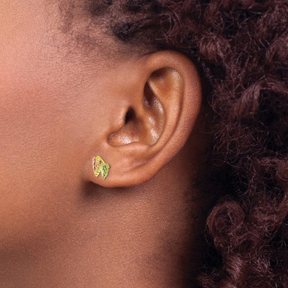10k and 12k Tri-color Black Hills Gold Grapes and Leaves Post Earrings