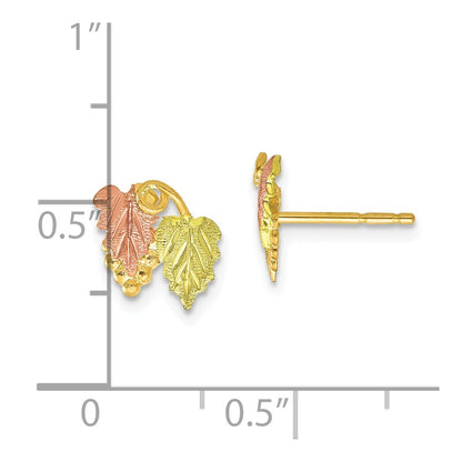 10k and 12k Tri-color Black Hills Gold Grapes and Leaves Post Earrings