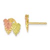 10k and 12k Tri-color Black Hills Gold Grapes and Leaves Post Earrings