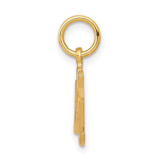 10k BABY BOY Charm
