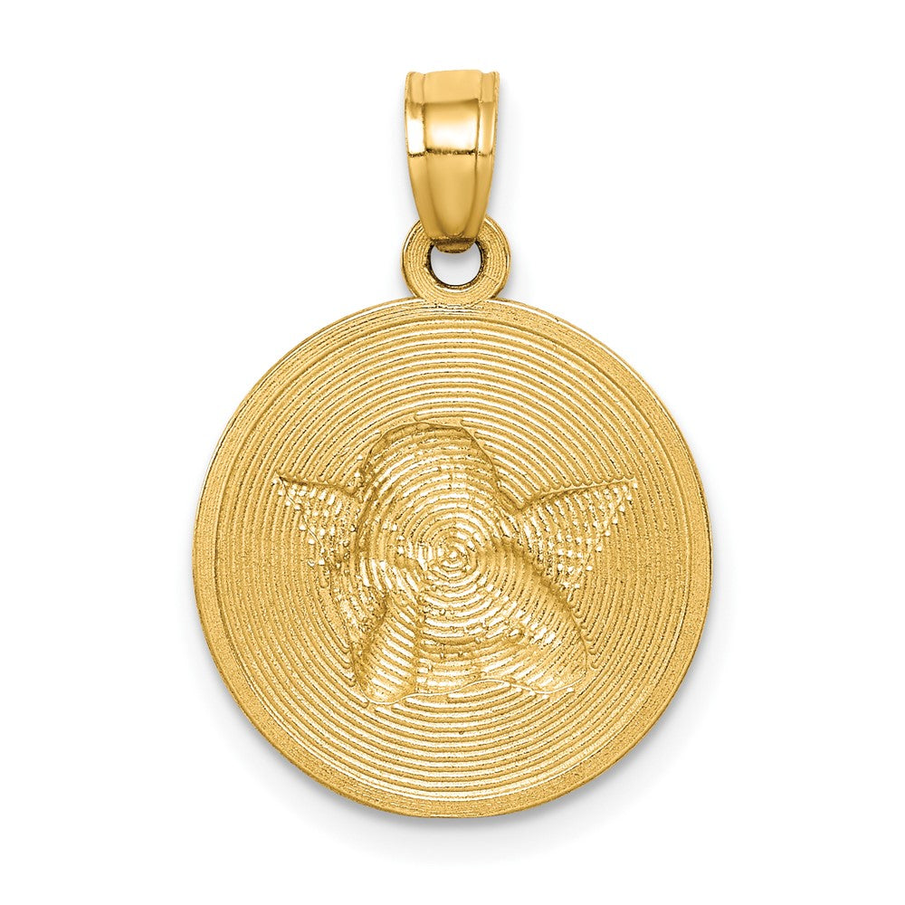 10K and White Rhodium Polished and Textured Round Angel Pendant