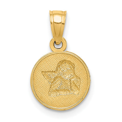 10K and White Rhodium Small Polished and Textured Round Angel Pendant