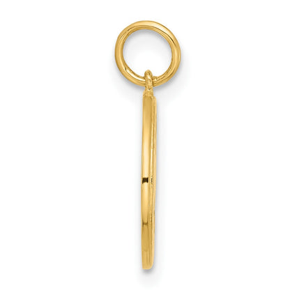 10K Polished CZ Good Luck Medallion Charm