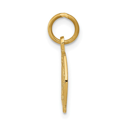 10k Small Horseshoe Charm