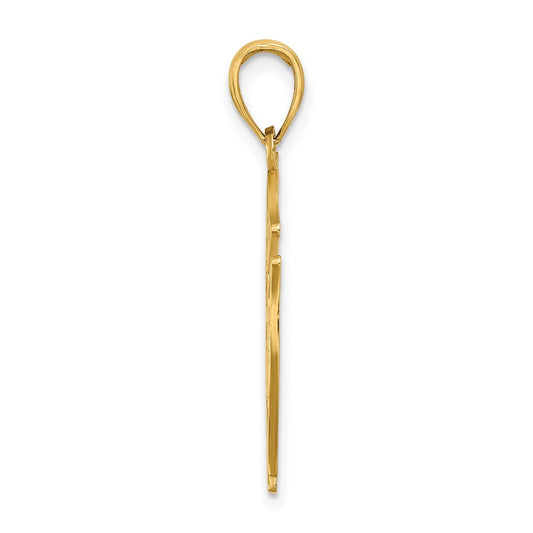 10k VFD LADIES AUX  Shield Charm