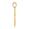 10k VFD Ladies AUX  Shield Charm