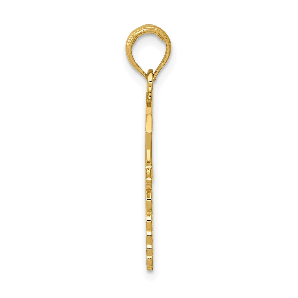 10k Caduceus with Nurses Cap Pendant
