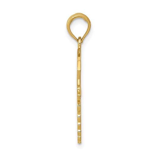 10k Caduceus with Nurses Cap Pendant