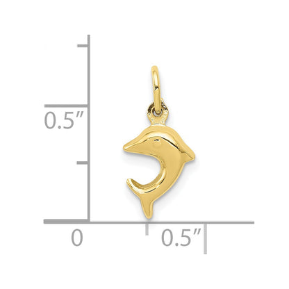 10k Dolphin Charm