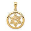 10k Jewish Chai in Star of David in Circle Pendant